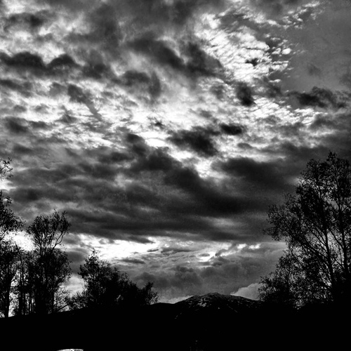 Photo #14130216