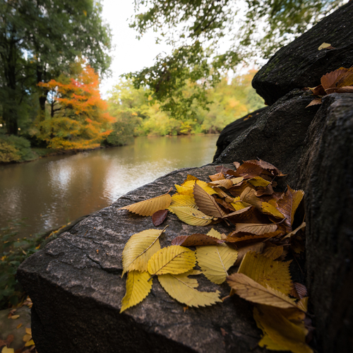 Photo #14130234