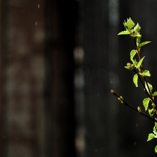 Photo #14130245