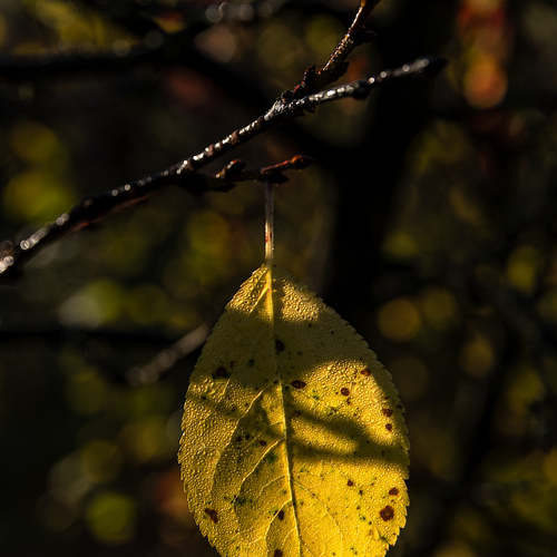 Photo #14130508