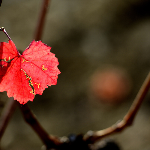 Photo #14130545