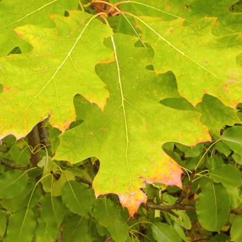 Photo #14130559