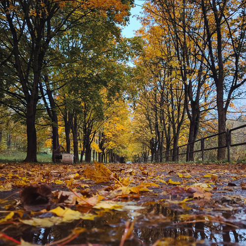 Photo #14130567