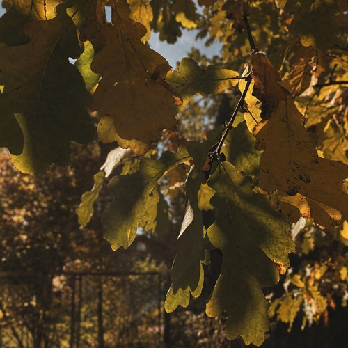 Photo #14130595