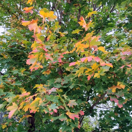 Photo #14130670