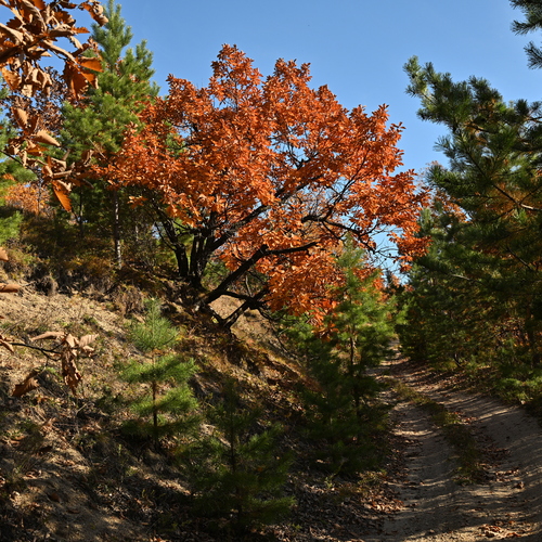 Photo #14130684