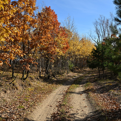 Photo #14130685