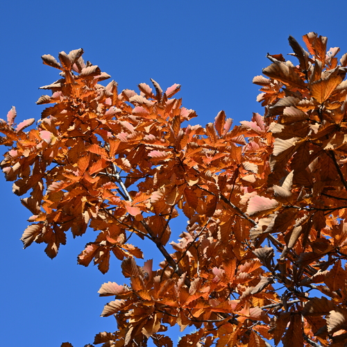 Photo #14130693
