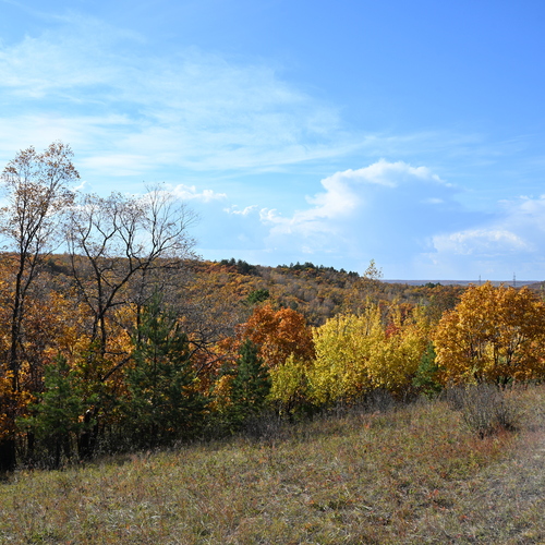 Photo #14130696