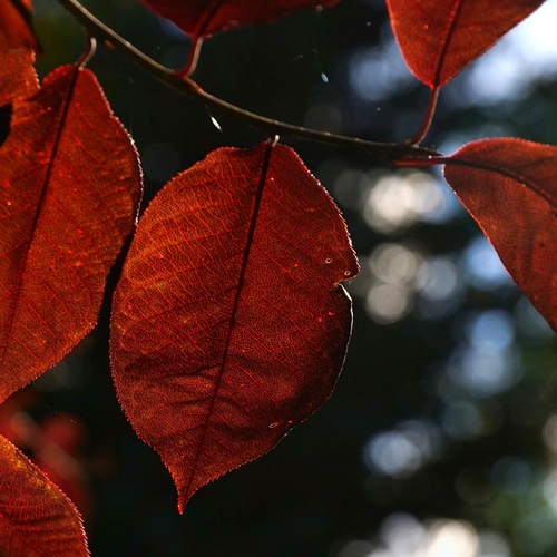 Photo #14130793