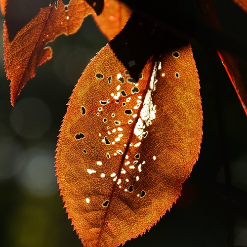 Photo #14130794