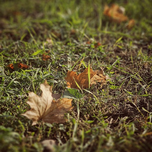 Photo #14130862