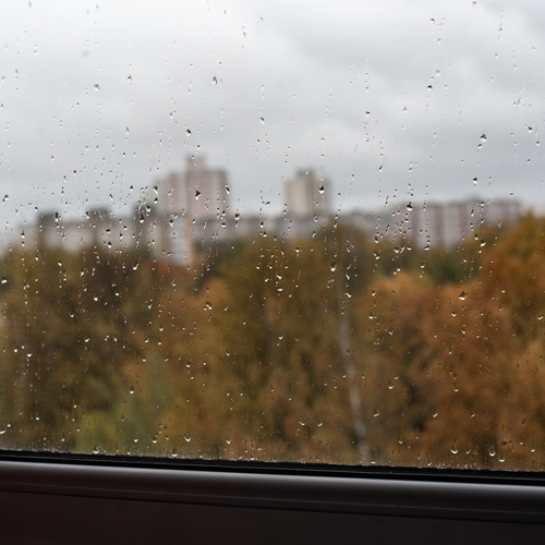 Photo #14130865