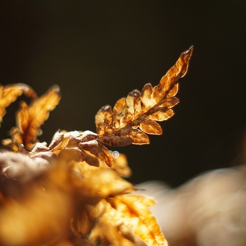 Photo #14130868