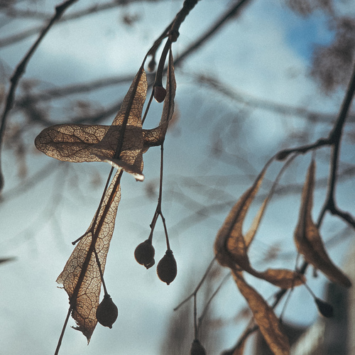 Photo #14130877
