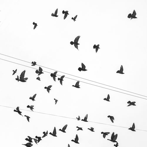 Photo #14130907