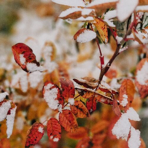 Photo #14131176