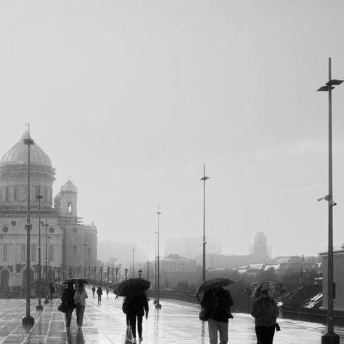 Photo #14131264