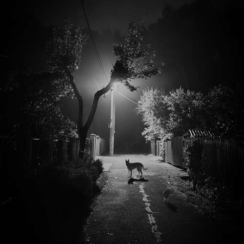 Photo #14131268