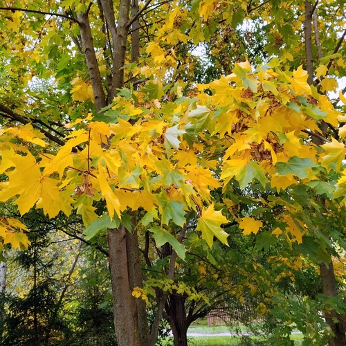 Photo #14131424