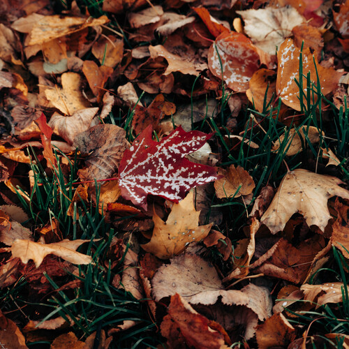Photo #14131454