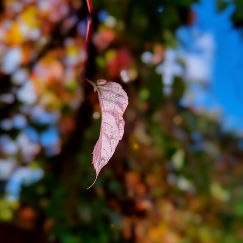 Photo #14131457