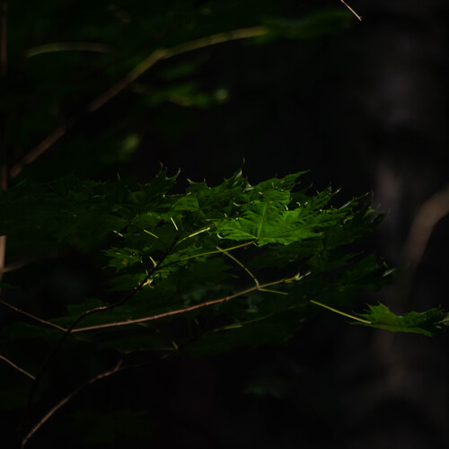 Photo #14131469