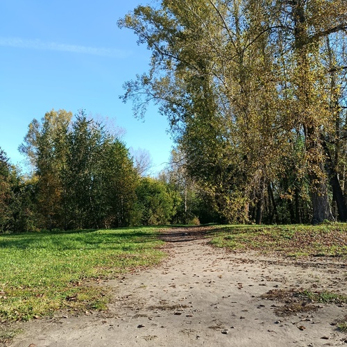 Photo #14131608