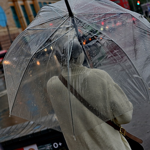 Photo #14131639