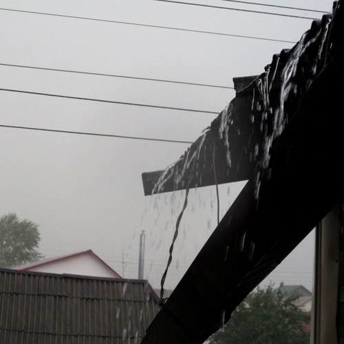 Photo #14131799