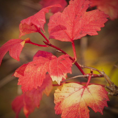 Photo #14131844