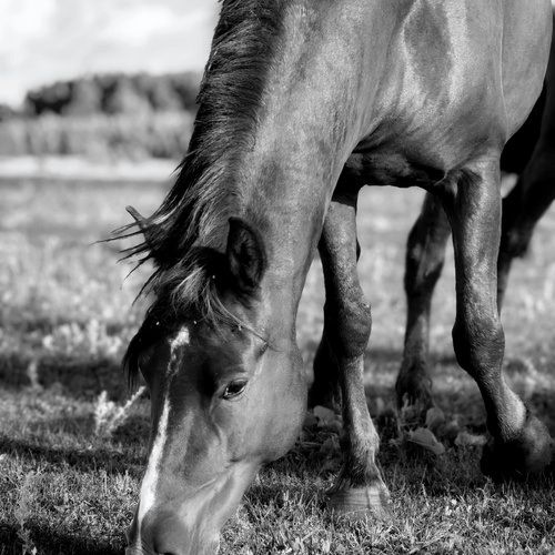 Photo #14131979