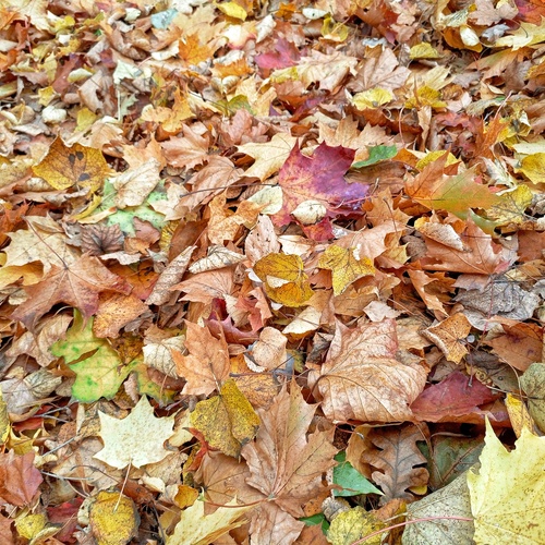 Photo #14132047