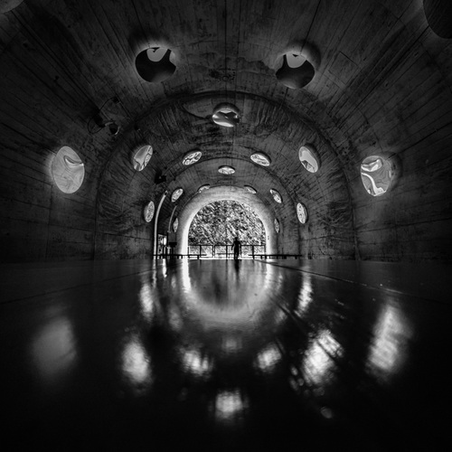 Photo #14132093