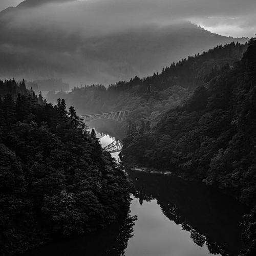 Photo #14132095