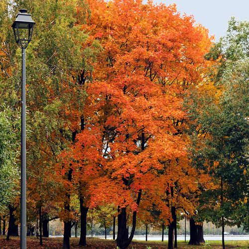 Photo #14132269