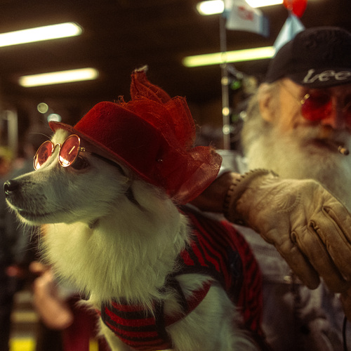 Photo #14132336