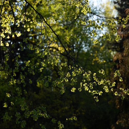 Photo #14132356