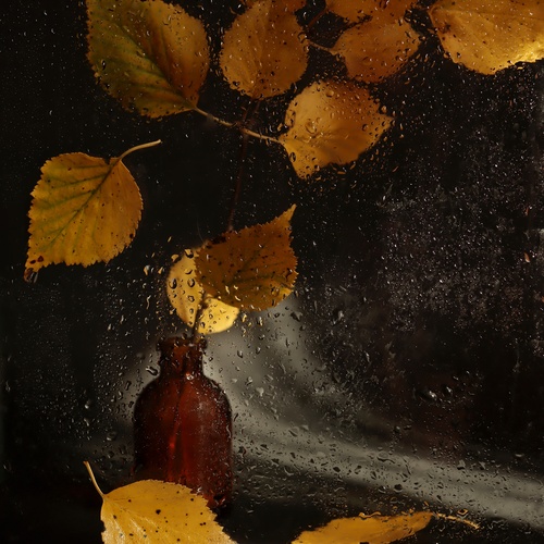 Екатерина Зязина