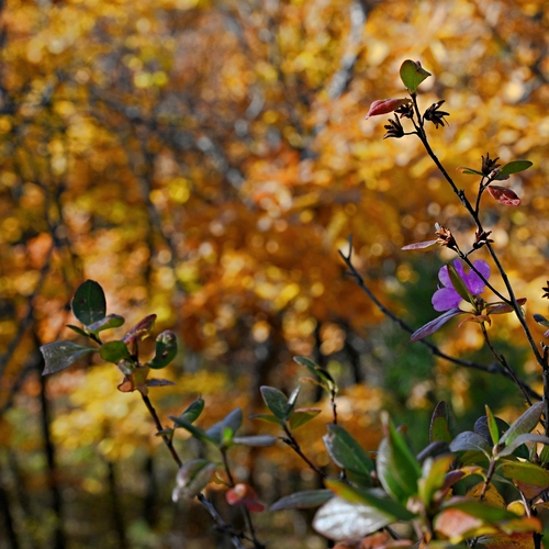 Photo #14132429