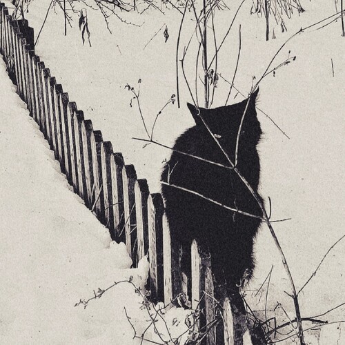 Photo #14132436