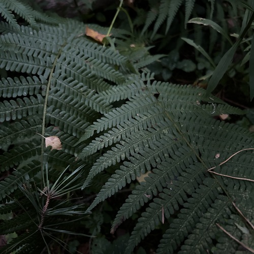 Photo #14132772