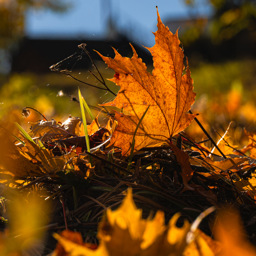 Photo #14132882