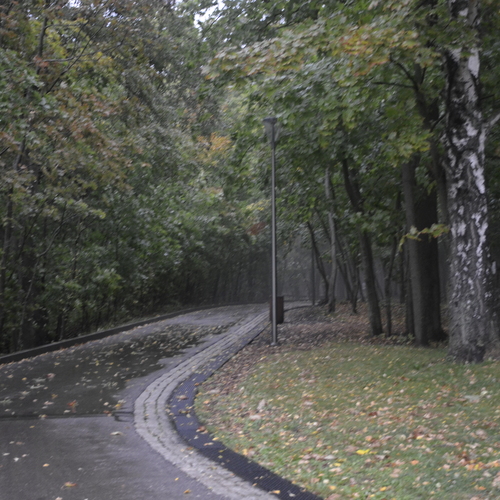 Photo #14132912