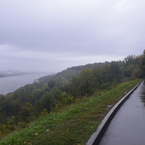 Photo #14132914