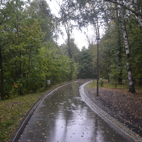 Photo #14132927
