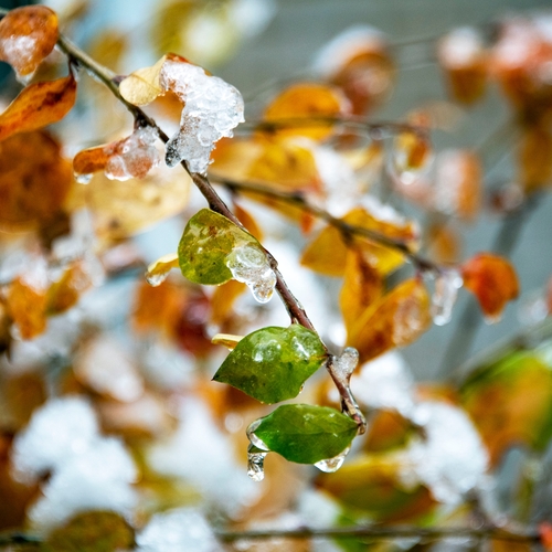 Photo #14132933