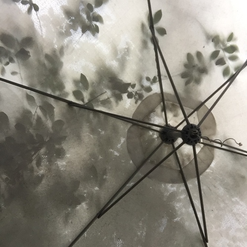 Photo #14132983