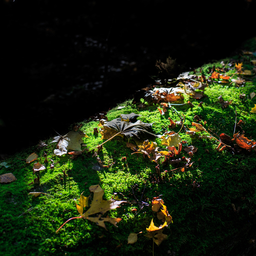 Photo #14133008