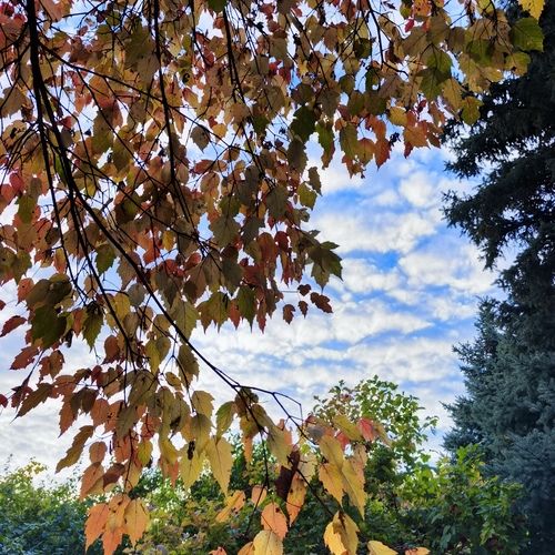 Photo #14133012